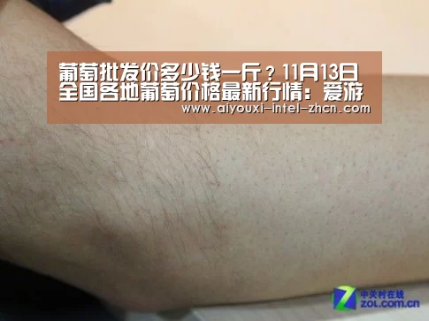 爱游戏下载
