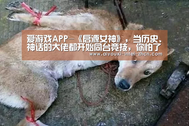 爱游戏下载