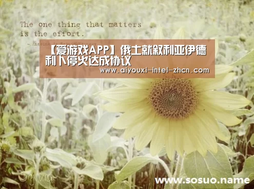 【爱游戏APP】俄土就叙利亚伊德利卜停火达成协议