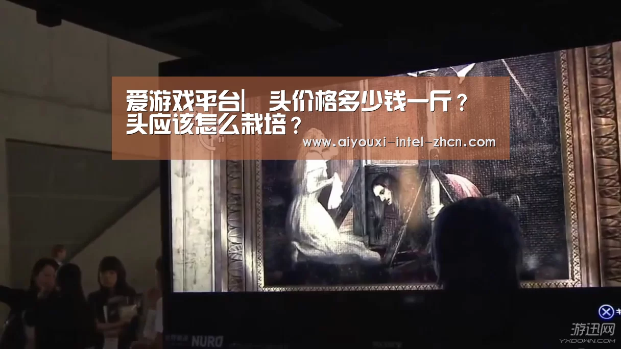 爱游戏平台|藠头价格多少钱一斤?藠头应该怎么栽培?(图2) 爱游戏入口
