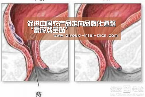 爱游戏全站
